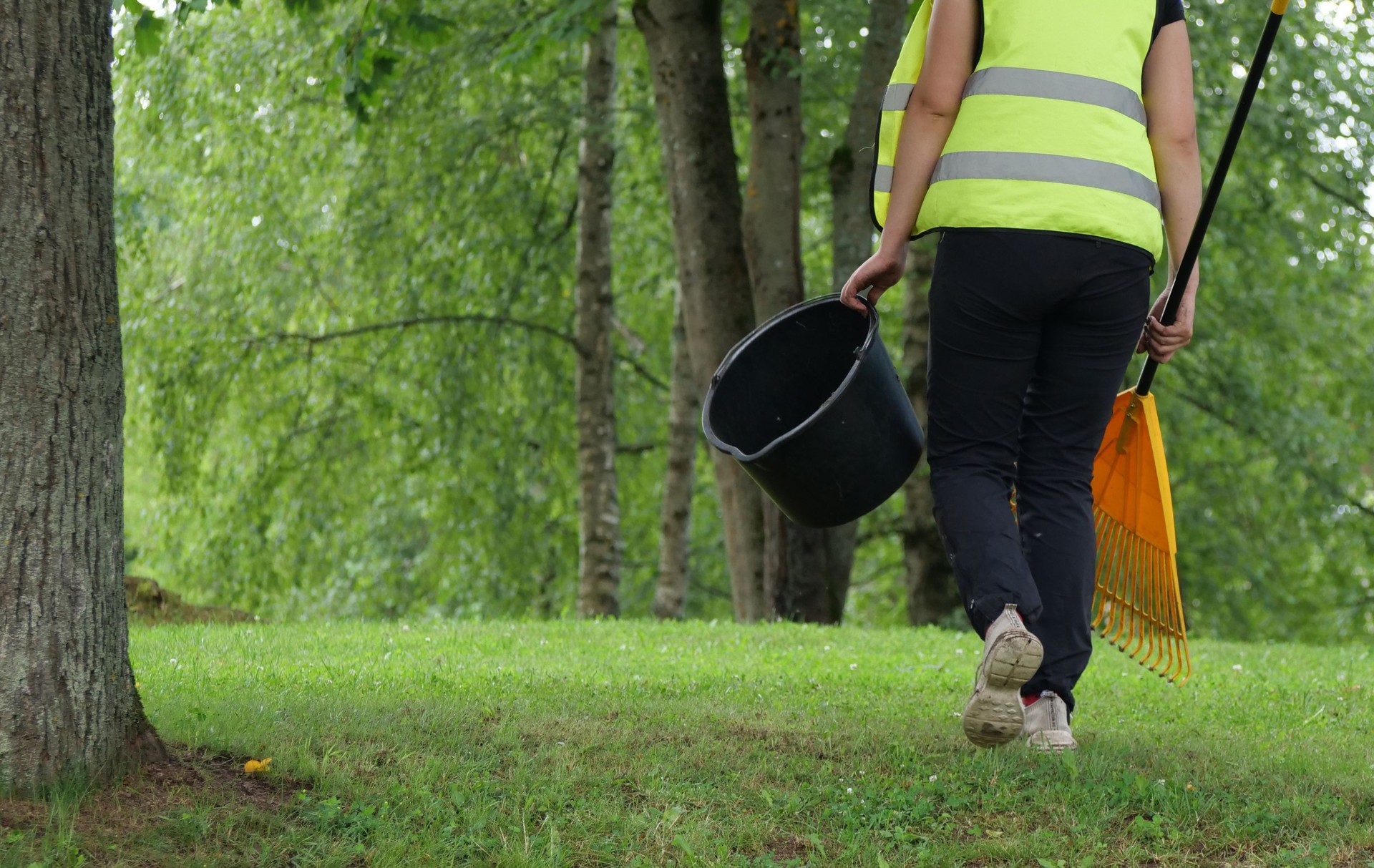 Dedicated Park Worker Carrying Rake and Bucket Across Green Lawn for Maintenance Tasks